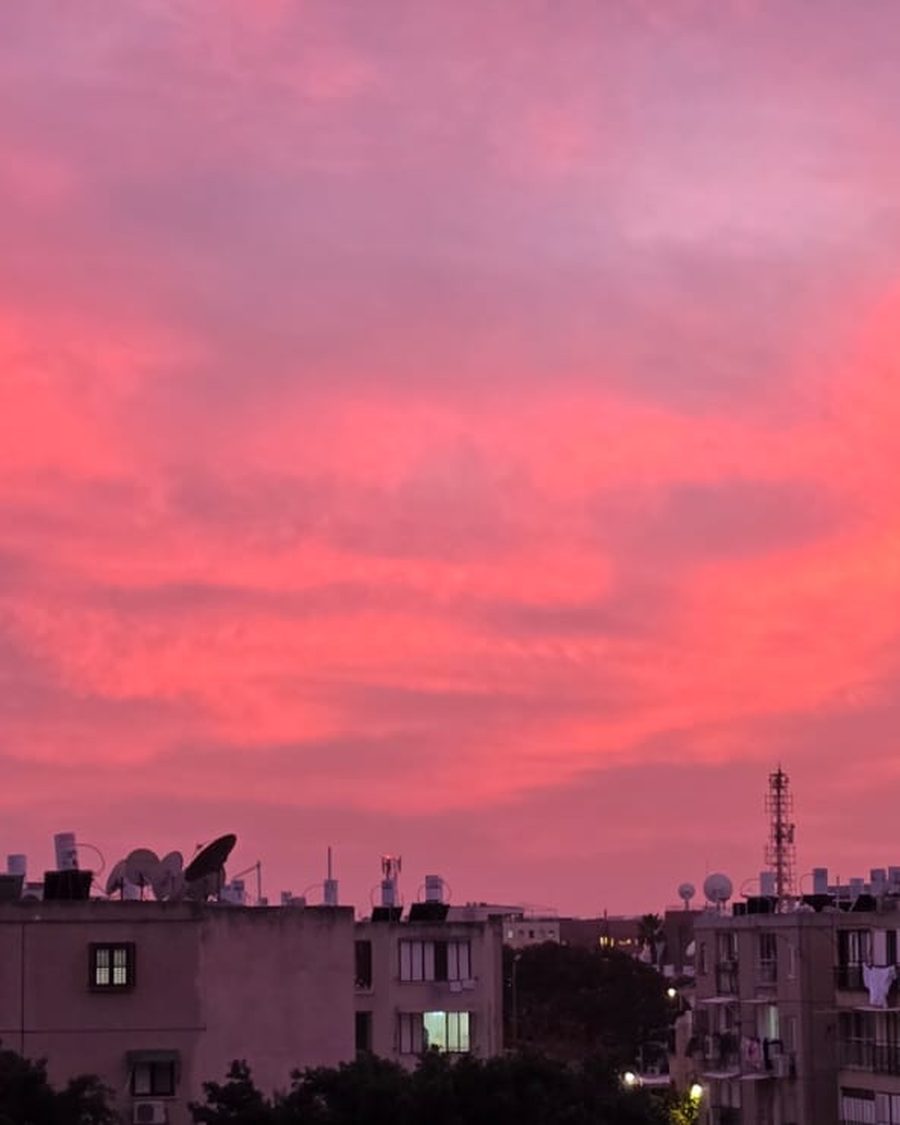 שמי שקיעה ורודים מעל גגות בתים